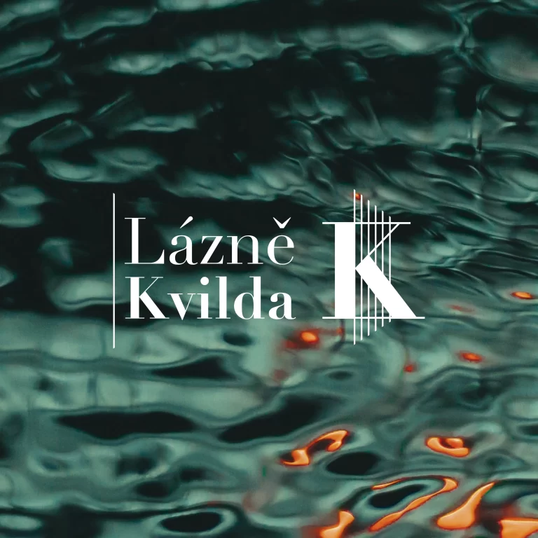 Ukázka loga z portfolia Tvorba loga levně – reference 35