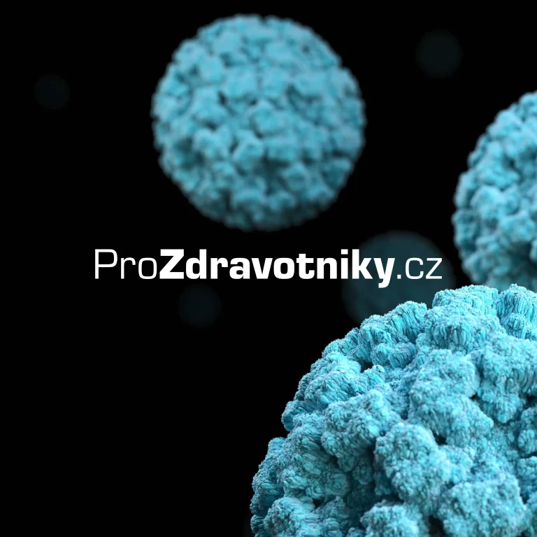 Ukázka loga z portfolia Tvorba loga levně – reference 48