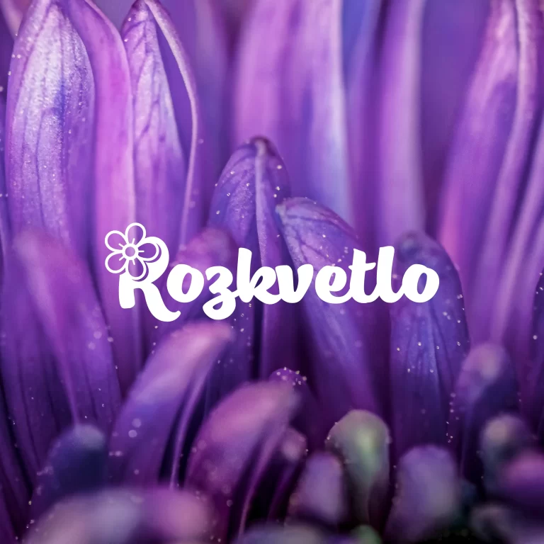 Ukázka loga z portfolia Tvorba loga levně – reference 52