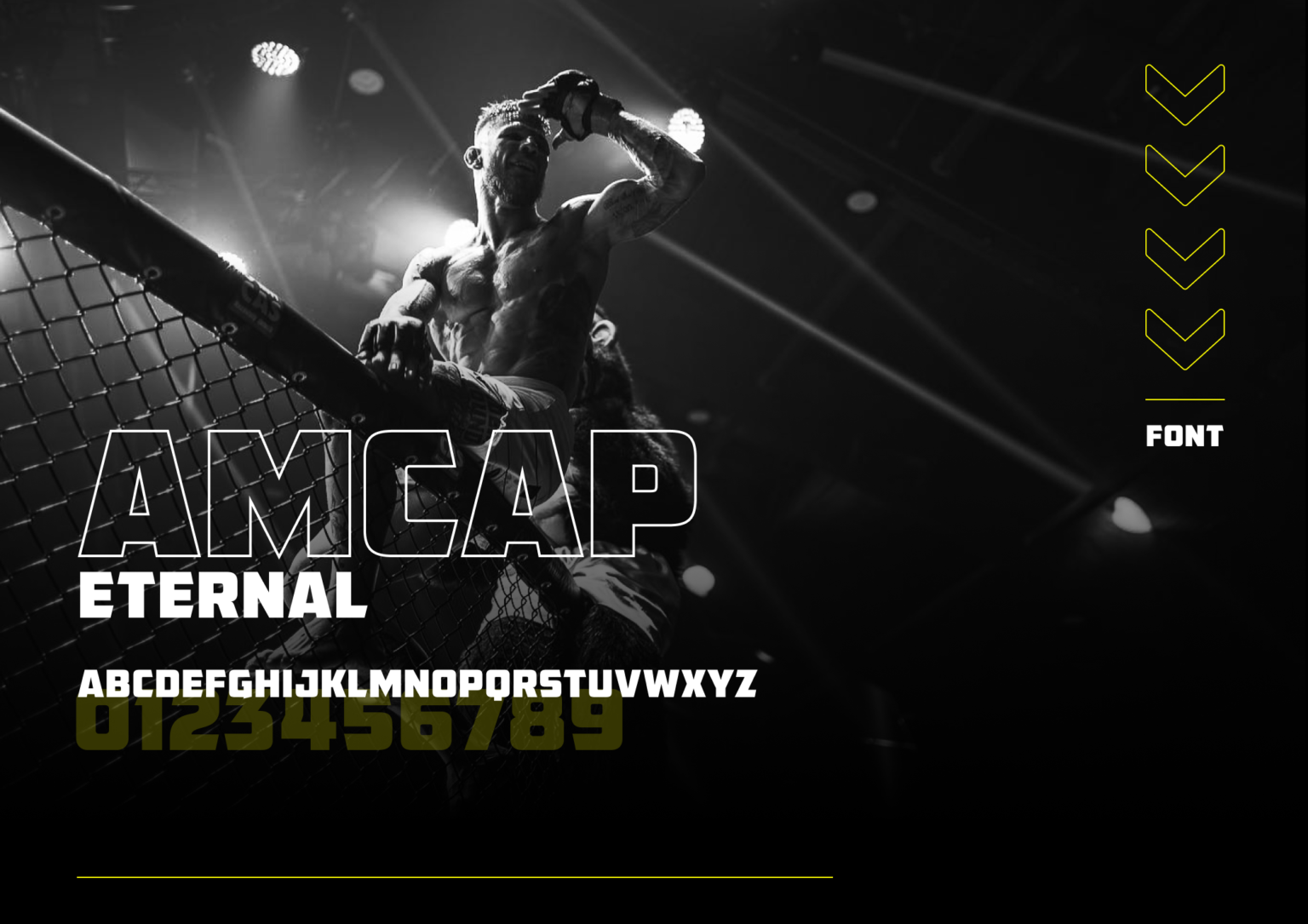 Gorila MMA – ukázka realizace loga a grafiky (6)