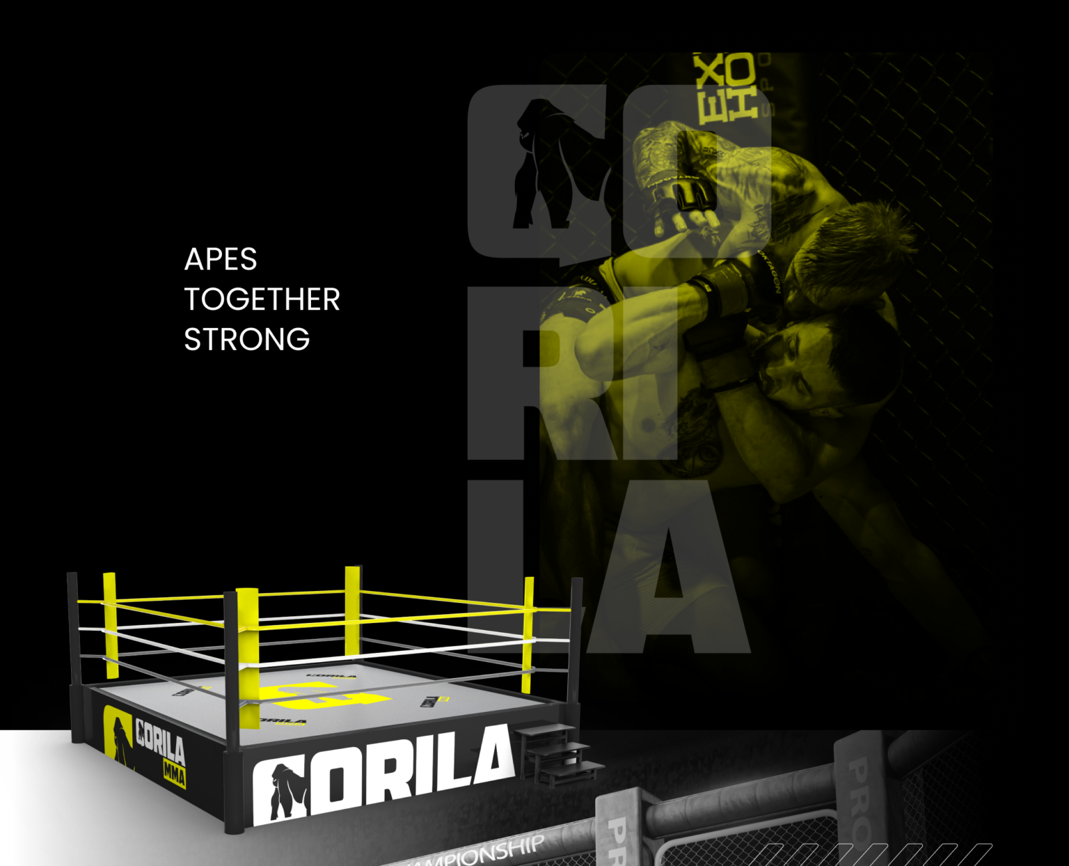 Gorila MMA – ukázka realizace loga a grafiky (7)